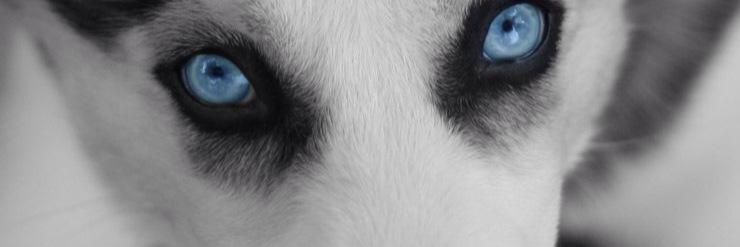 itls2's profile banner image