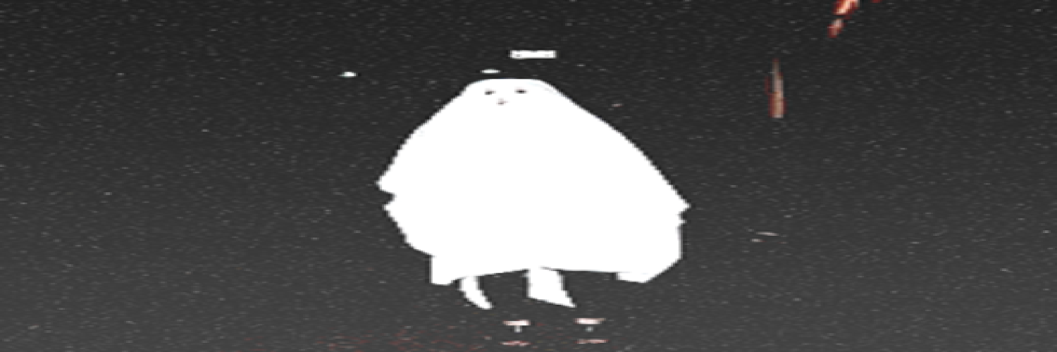 PtHisnh12's profile banner image