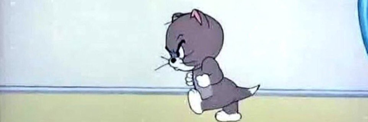 Muhammad Reza banner