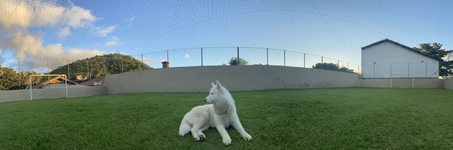 luizfl_'s profile banner image