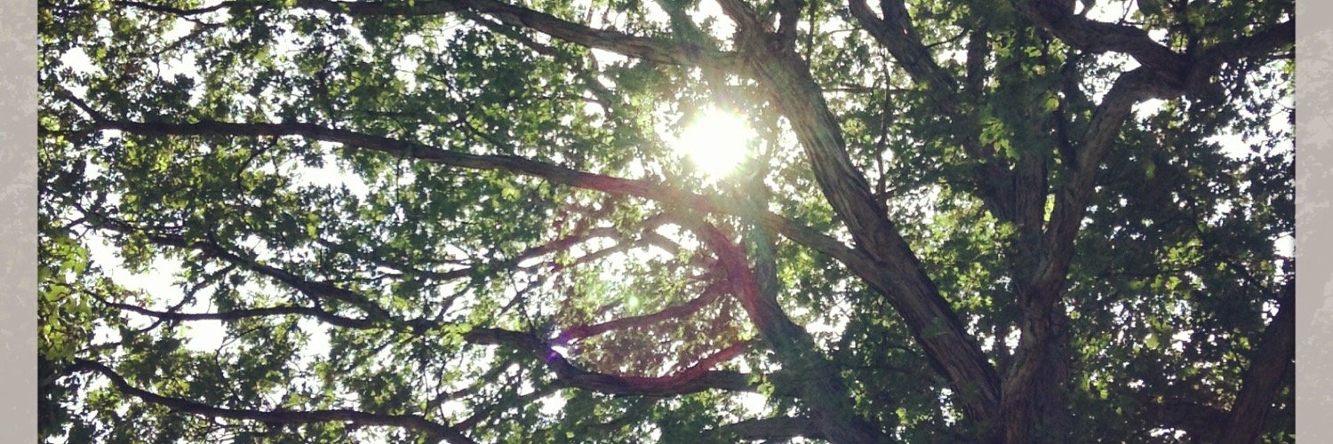 vs_lamm's profile banner image