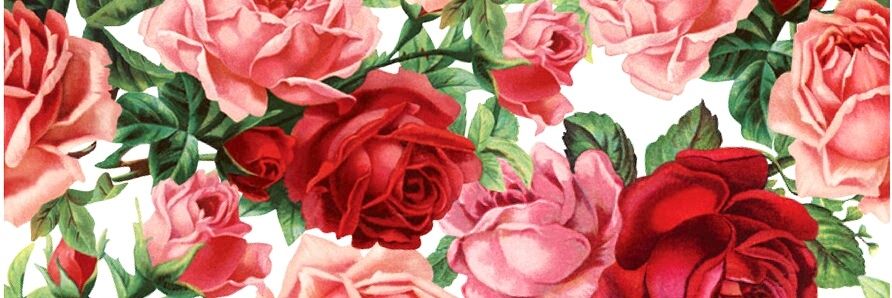 _onerarerose's profile banner image