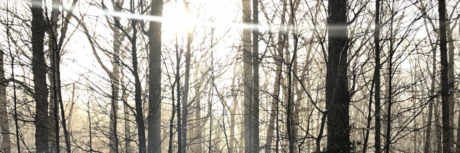 MallorieArin's profile banner image