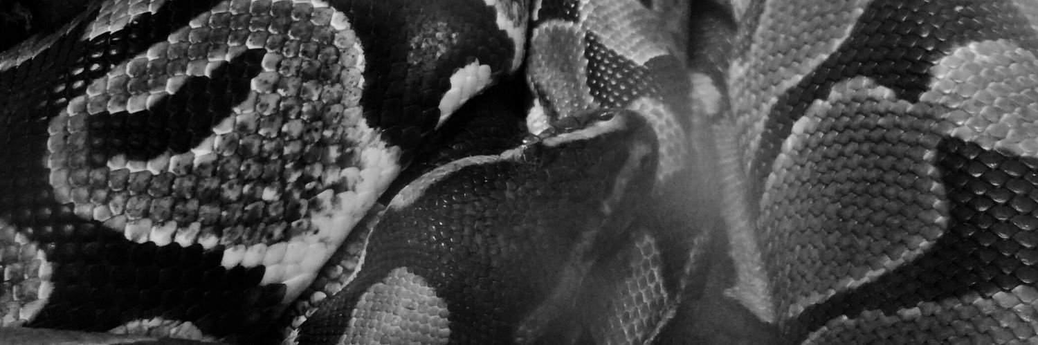 Ra____050's profile banner image