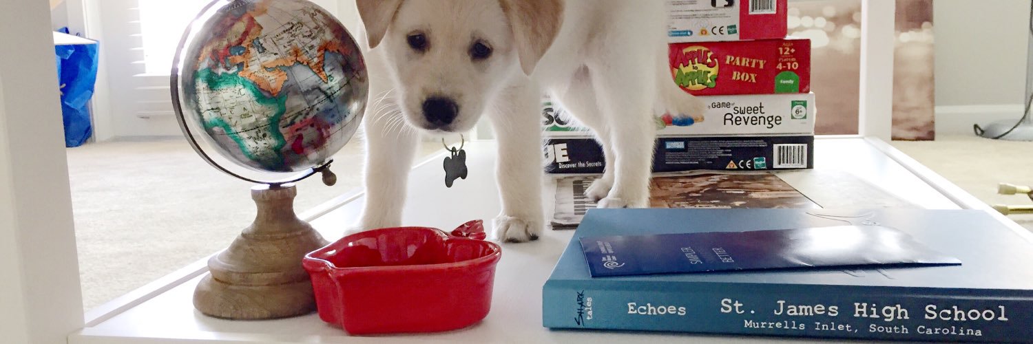 Miss Edgington banner