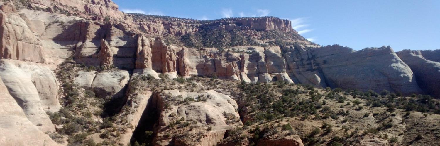 Janene Yazzie banner