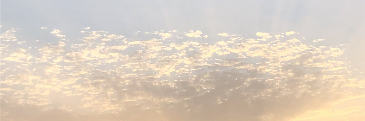 patriimdz's profile banner image