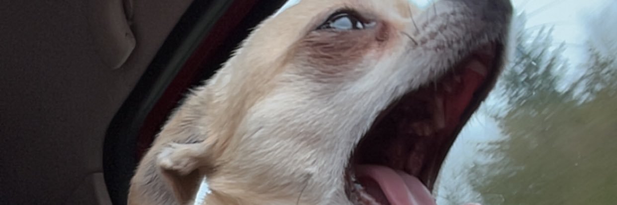 arnemogaags's profile banner image
