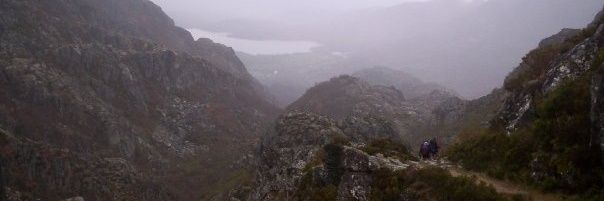 Adrian Ferrero banner