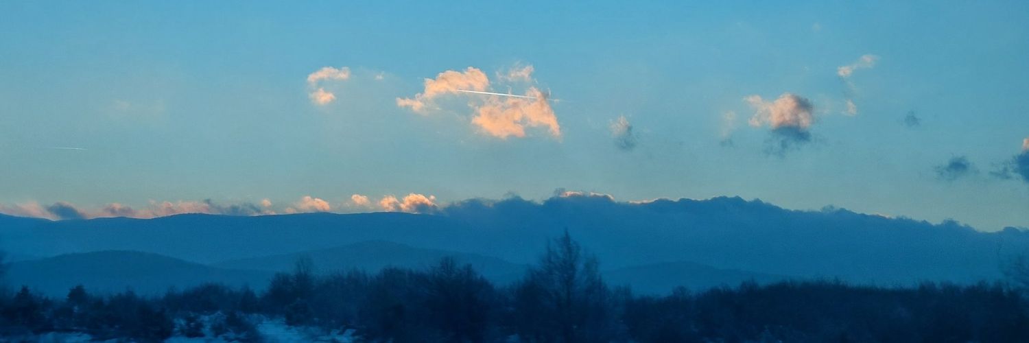 Toni Macaroni 🧪 banner