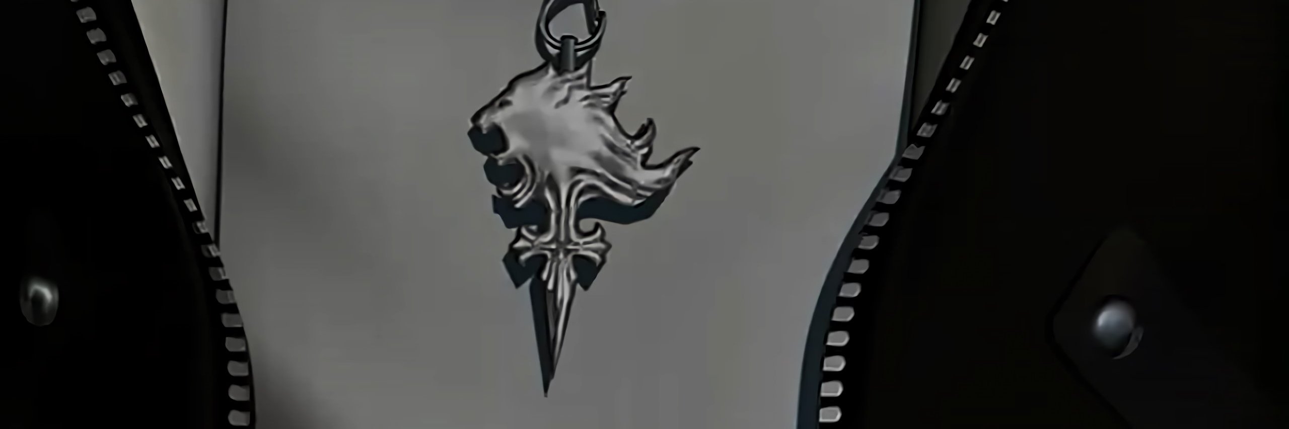 LionsValor's profile banner image