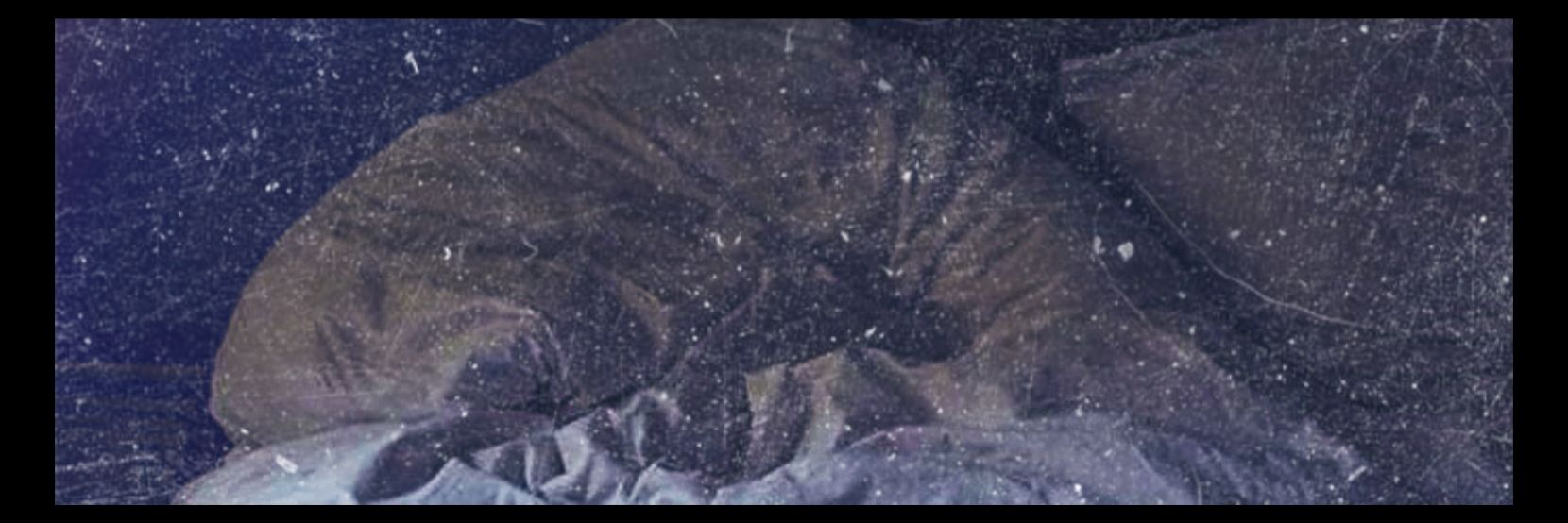 𝐘❀⁷ banner