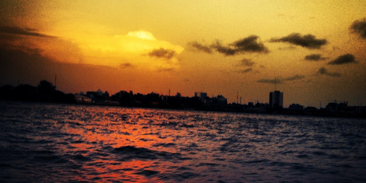 FiFehan | FiFi | Fyfer banner