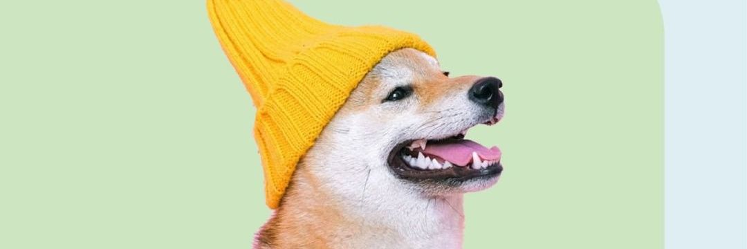 jaisevta's profile banner image
