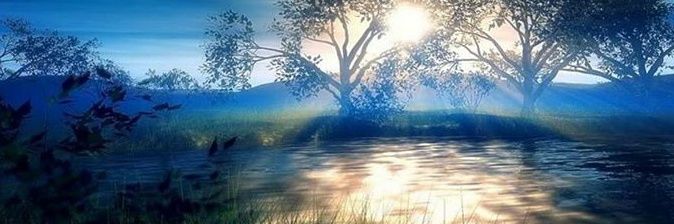 APLitteacher1's profile banner image