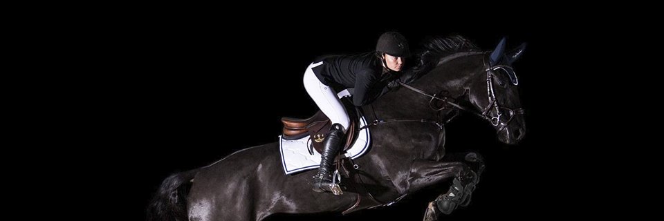 psofsweden's profile banner image