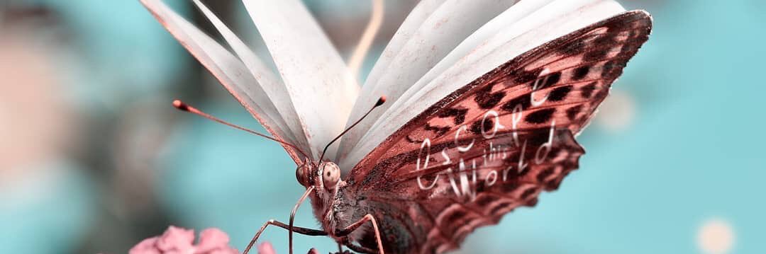 magdaescobedo's profile banner image