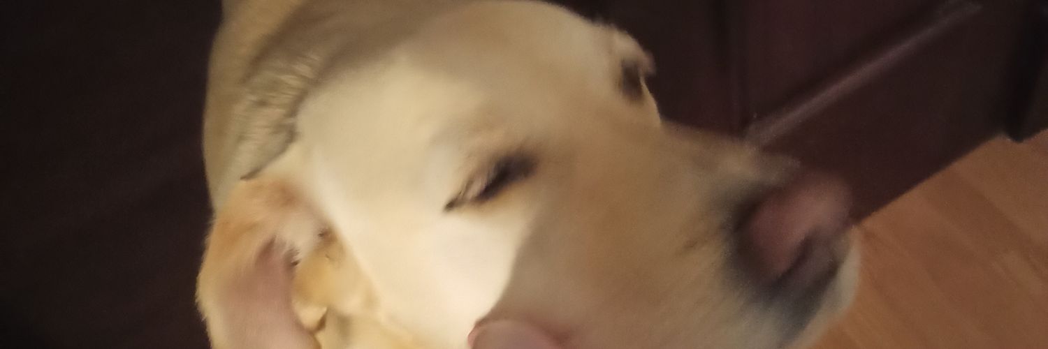 AfonsoM2153's profile banner image