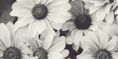 _ManonMaes_'s profile banner image