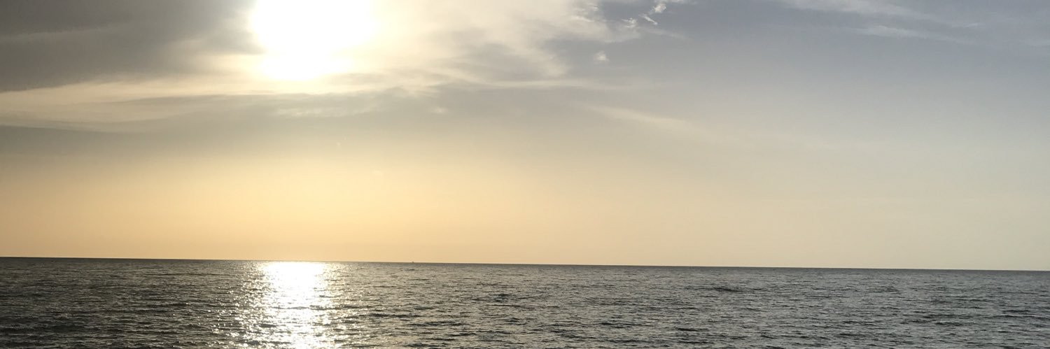 beingmolina's profile banner image