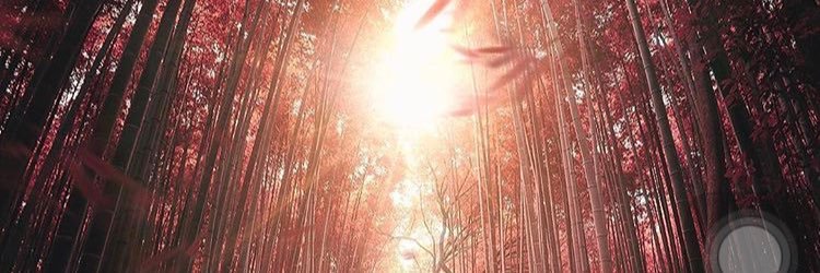 GodspeeeDZ's profile banner image