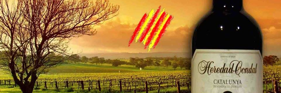 vinspravi's profile banner image