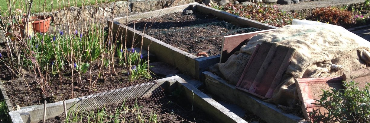 Sheila Skeaff banner