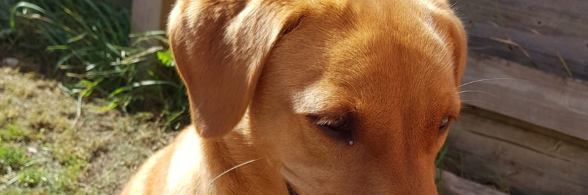 Caraaaa02's profile banner image