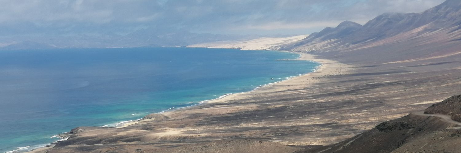 Luki 😎 banner