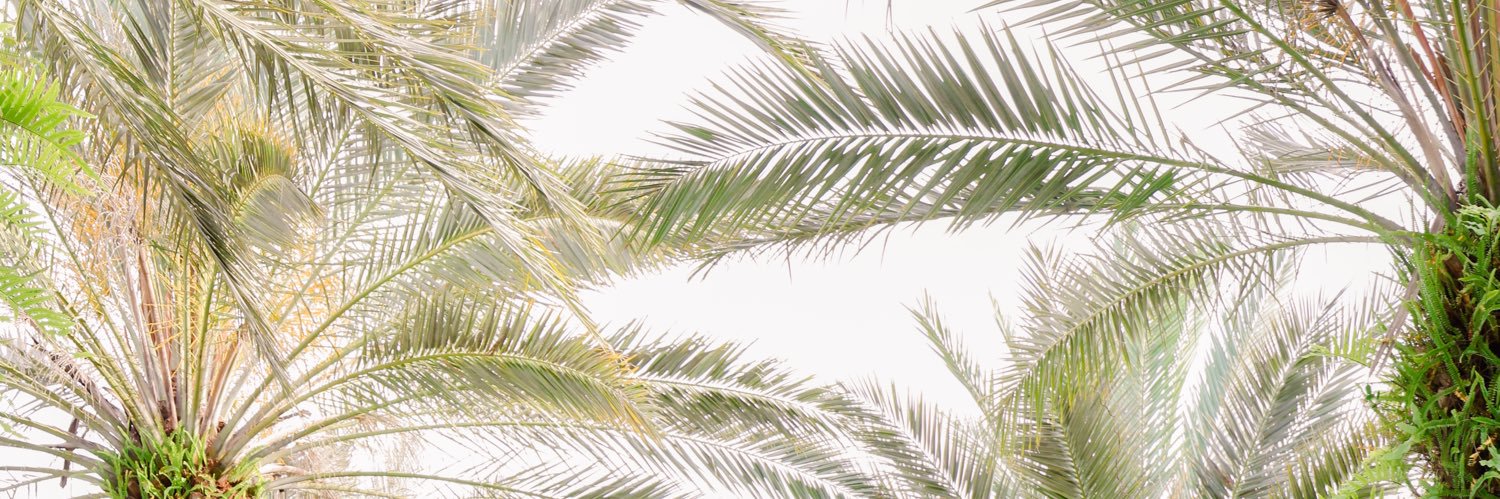 stylezchange's profile banner image