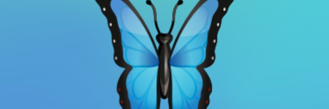 hsuskvs1's profile banner image