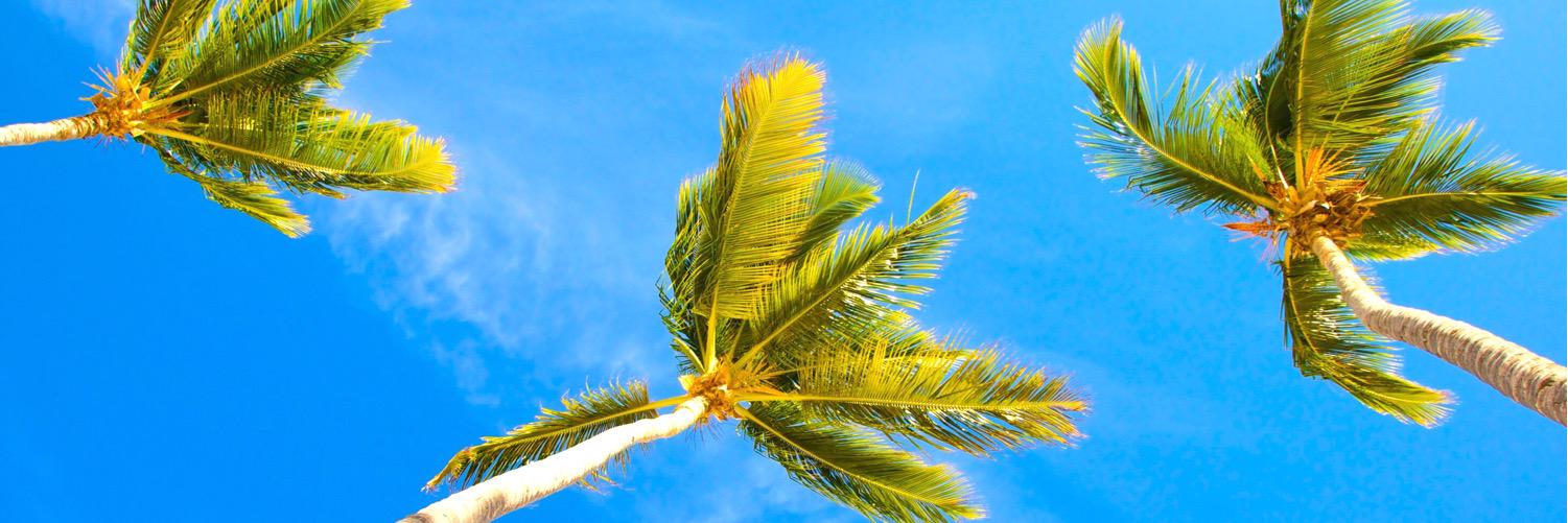 CaribeEstilo's profile banner image