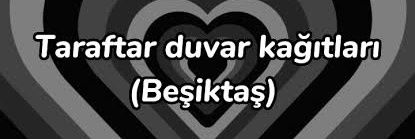 multicemozbjk41's profile banner image