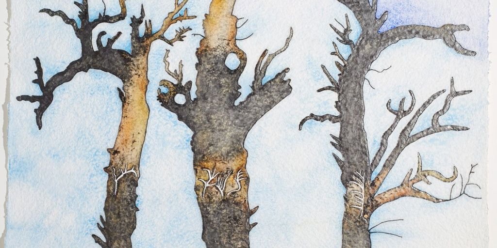 kanangrawalls's profile banner image