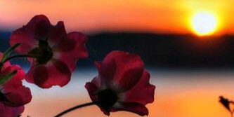 ga_mna's profile banner image
