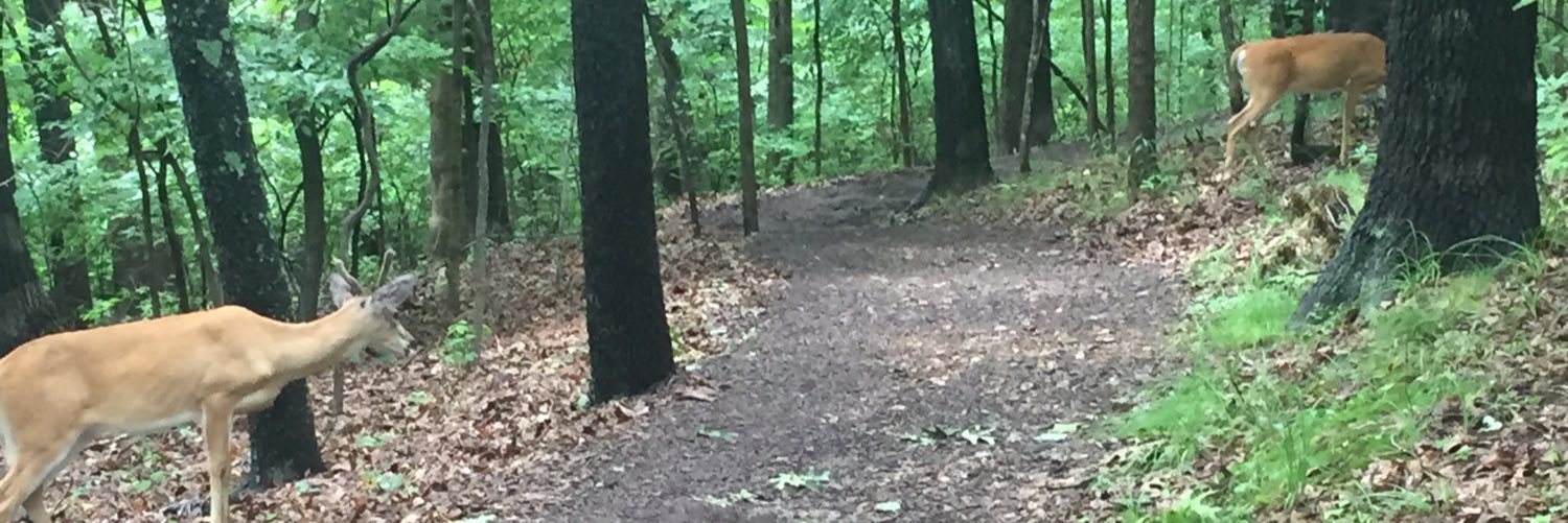 ejkrausee's profile banner image