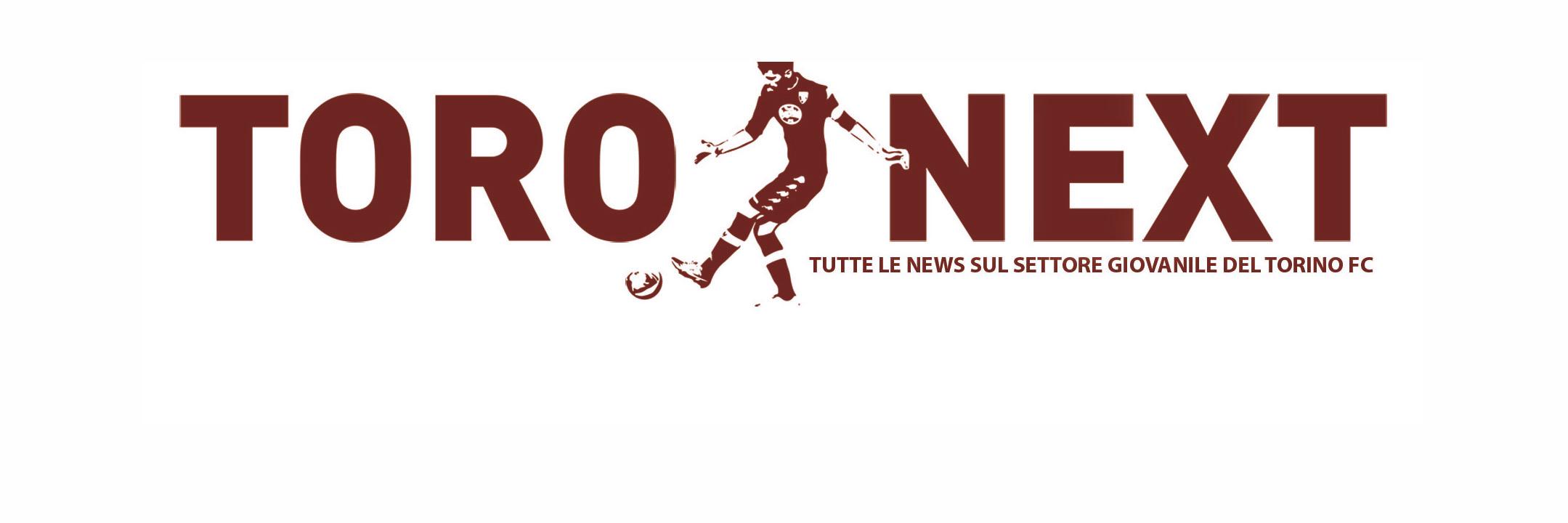 Toro_NEXT's profile banner image