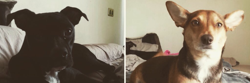 Mylo_22_'s profile banner image