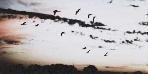 fyeahbella's profile banner image