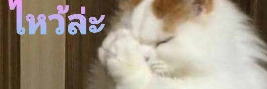 แม่เป็นแม่แท้ๆซอนอูด้วยซ้ำ fan account banner
