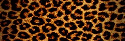 Lydia_97x's profile banner image
