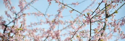 crescente_luce's profile banner image