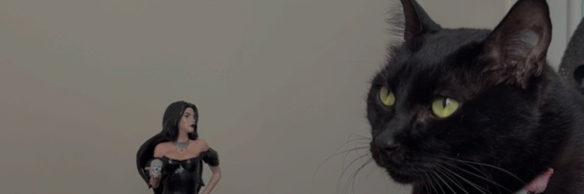 luizavidinho's profile banner image