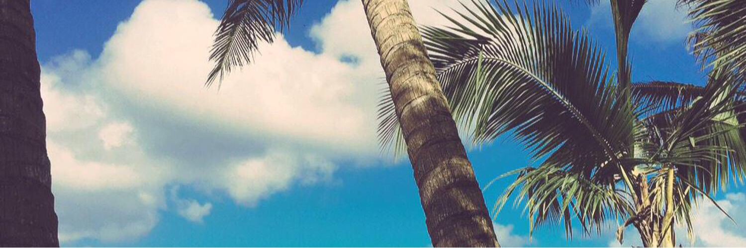 ryu_ryu__f's profile banner image