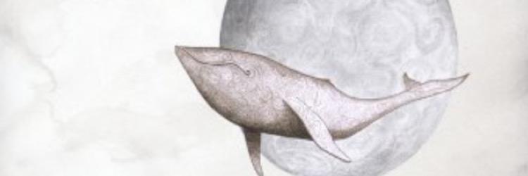 Anton Andersson banner