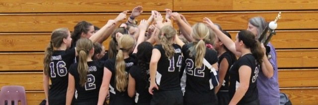 CSMS Volleyball banner