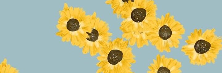 steisymadelen's profile banner image