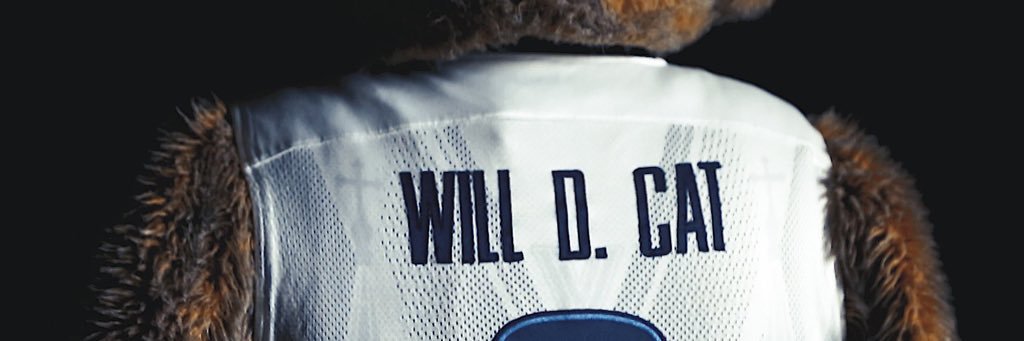Will D. Cat banner