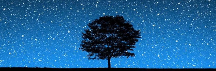 ThirdQtrProphet's profile banner image