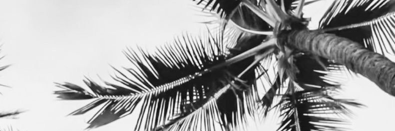 MarieSctn's profile banner image
